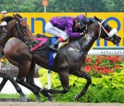 Let's See Action (Saifudin Ismail) holds off the late challenge from Boundless Glory (Alan Munro)<br>Photo by Singapore Turf Club